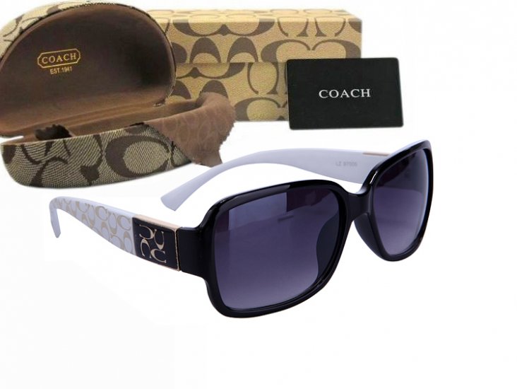 Coach Sunglasses 8003 | Women